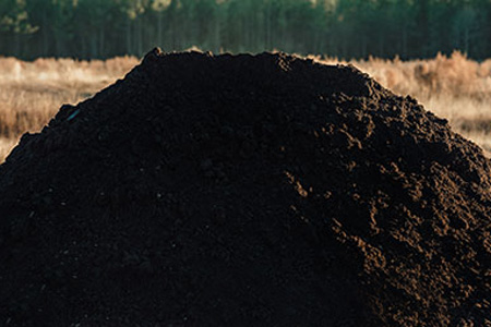 premium-compost.jpg