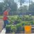 Community garden produces bountiful harvest for local food bank